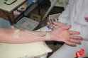 Doação de sangue Foto: www.campoere_1.com