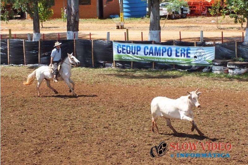 Rodeio Crioulo de Campo Er
