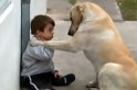 Cachorro amigo. Imagens TV Record