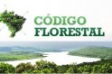 ​Novo Código Florestal: vitória dos produtores rurais brasileiros