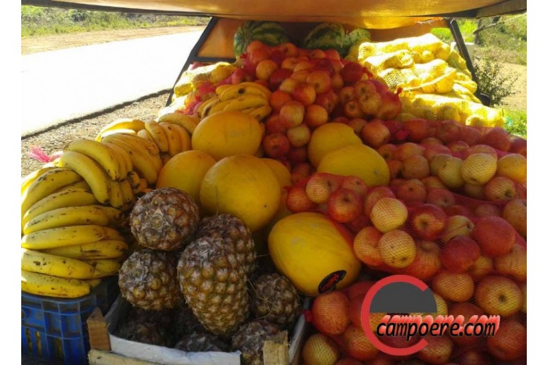 Frutas foram apreendidas. Foto: www.campoere_1.com