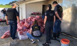 ​Três toneladas de carne foi apreendida em abatedouro clandestino