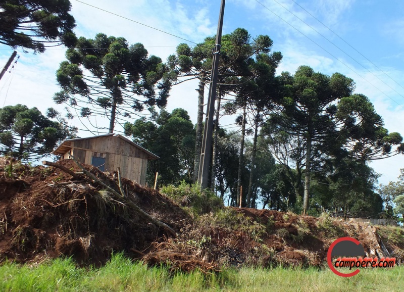 Foto: www.campoere_1.com