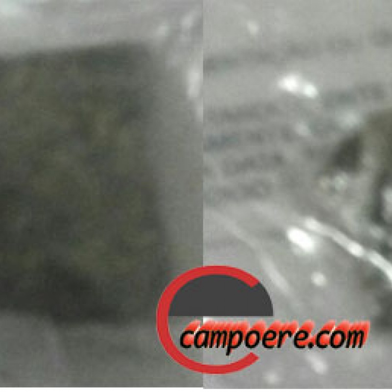 Foto: www.campoere_1.com