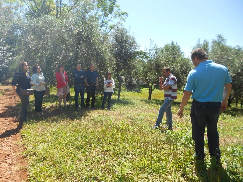 Foto: Divulgação Cedup Campo Erê