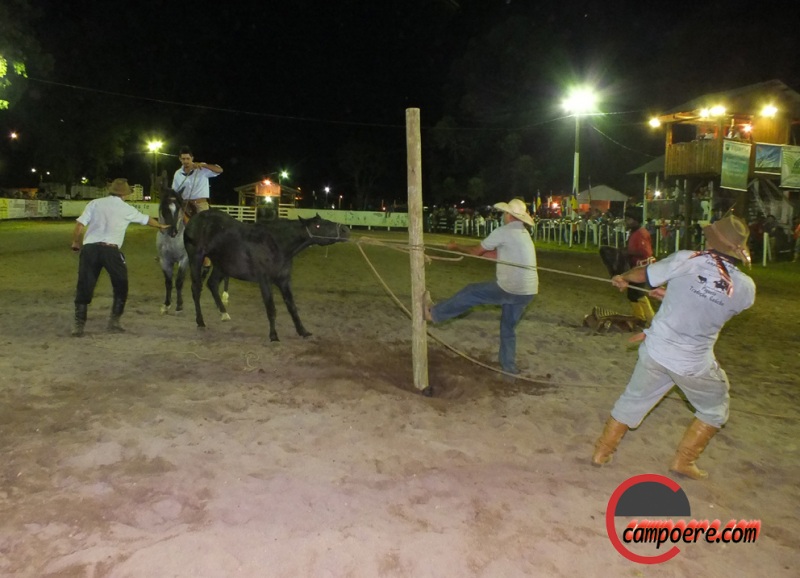 Foto: Jandir Sabedot/www.campoere_1.com