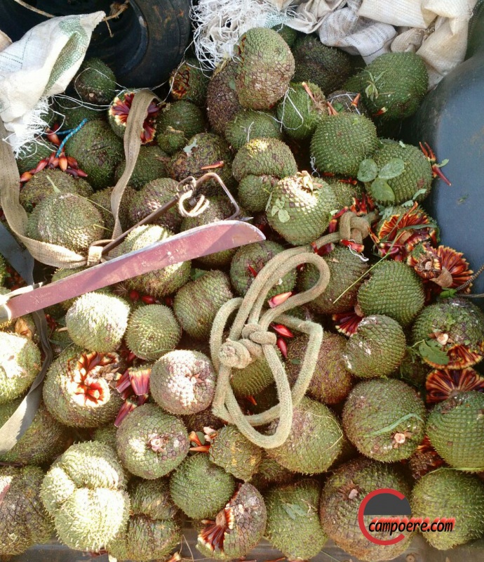 Foto: PM/divulgação