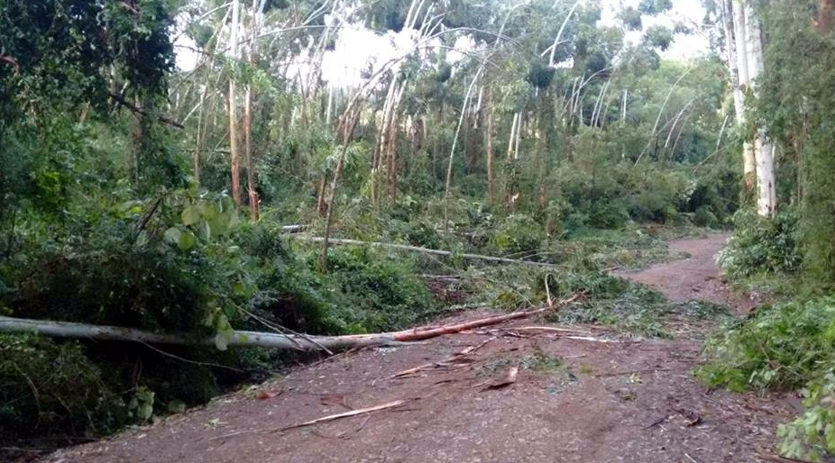 Foto: Nelcir Dall'Agnol / WH Comunicações