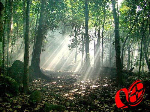 Foto: arquivo www.campoere_1.com