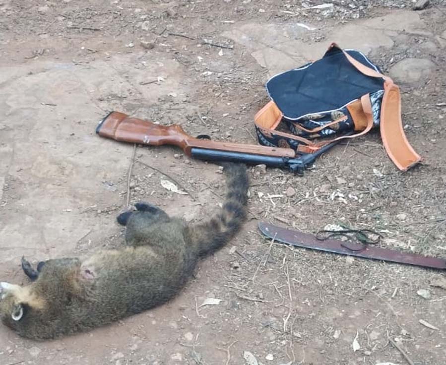 Foto: PM