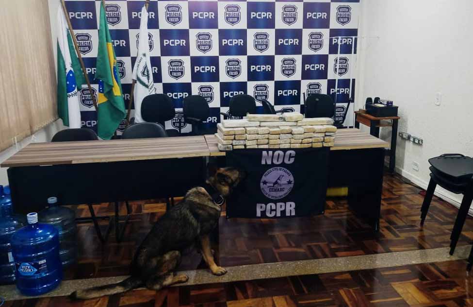 Foto: PC-PR