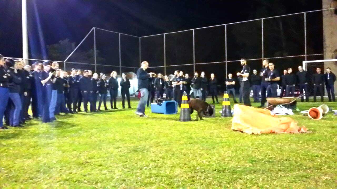 Foto: Policia Civil