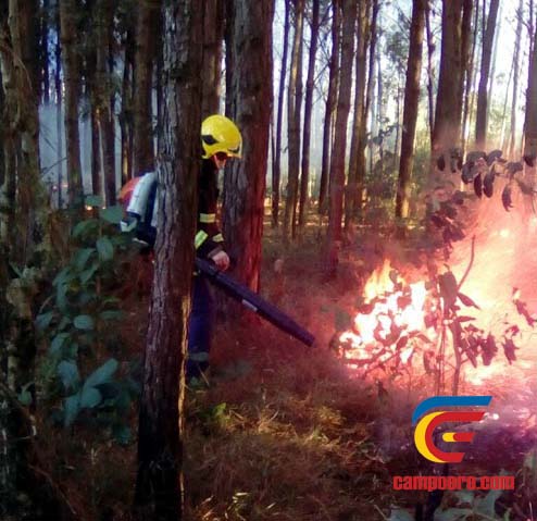 Foto: www.campoere_1.com