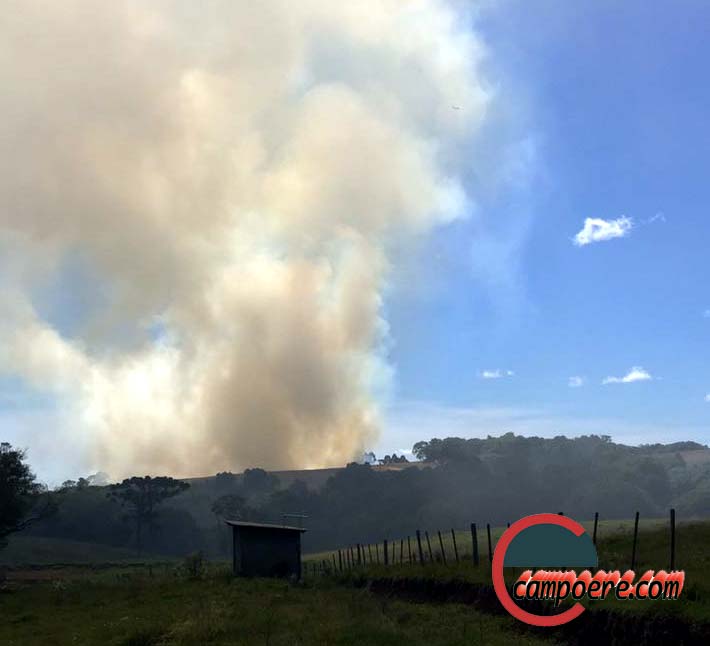 Foto: www.campoere_1.com