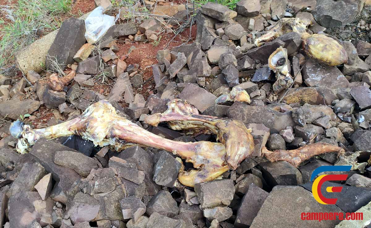 Foto: campoere_1.com