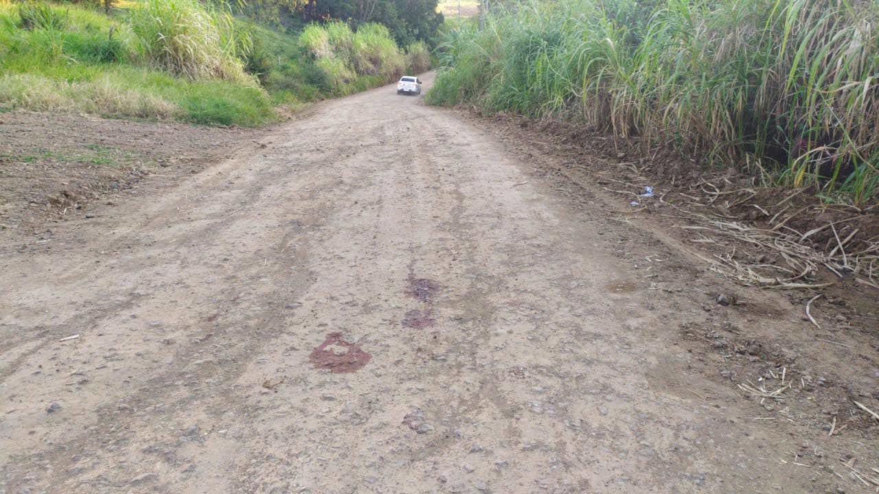 Foto: campoere_1.com