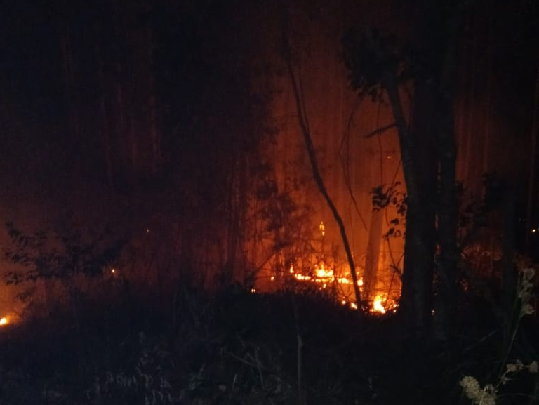 Foto: campoere_1.com