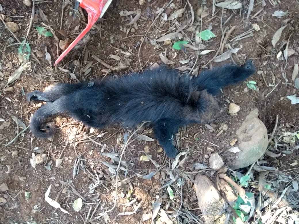 Foto: campoere_1.com