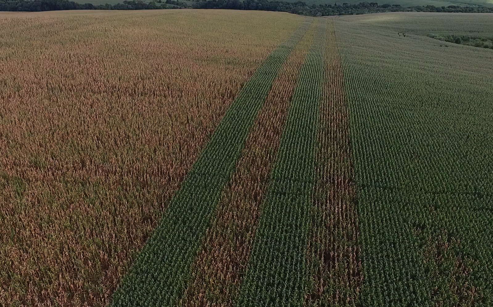 Foto: campoere_1.com