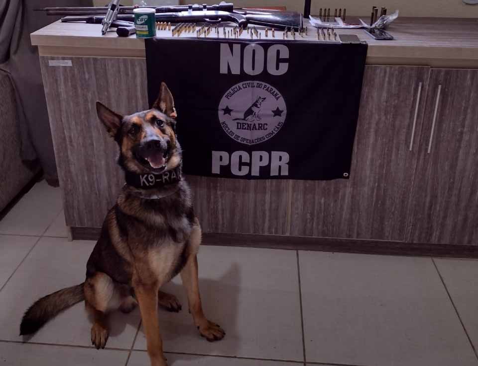 Foto: PM/PC-PR