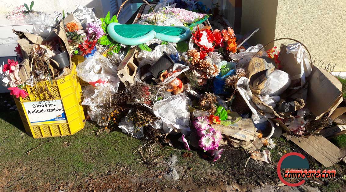 Foto: Jandir Sabedot/www.campoere_1.com