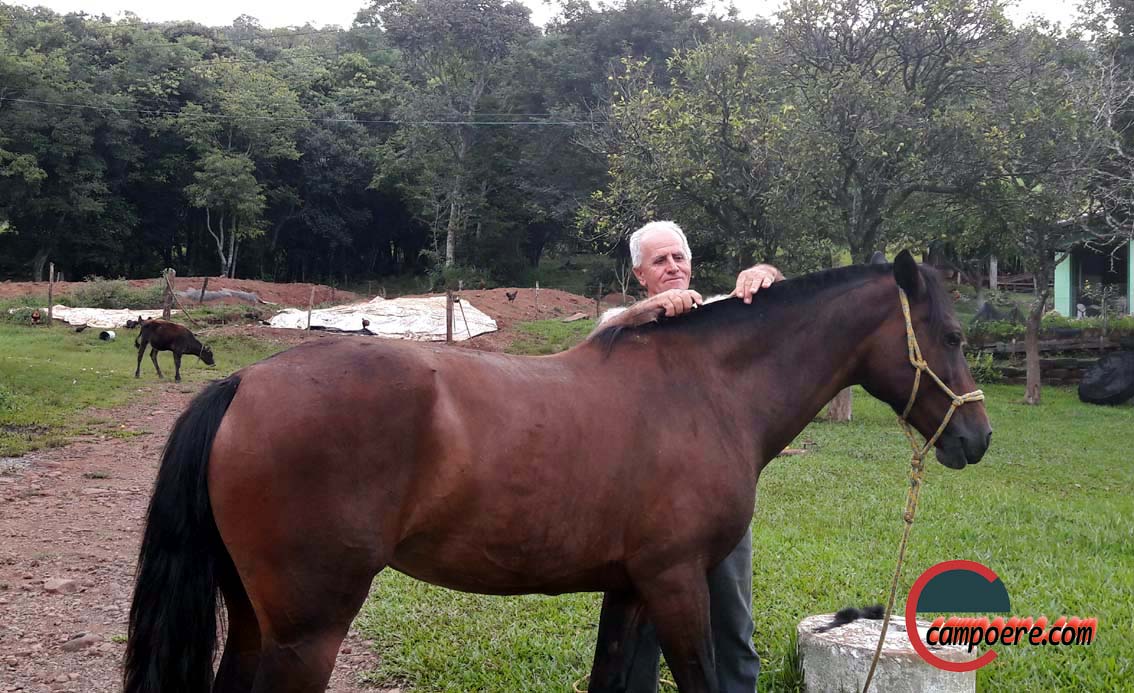 Lida no campo