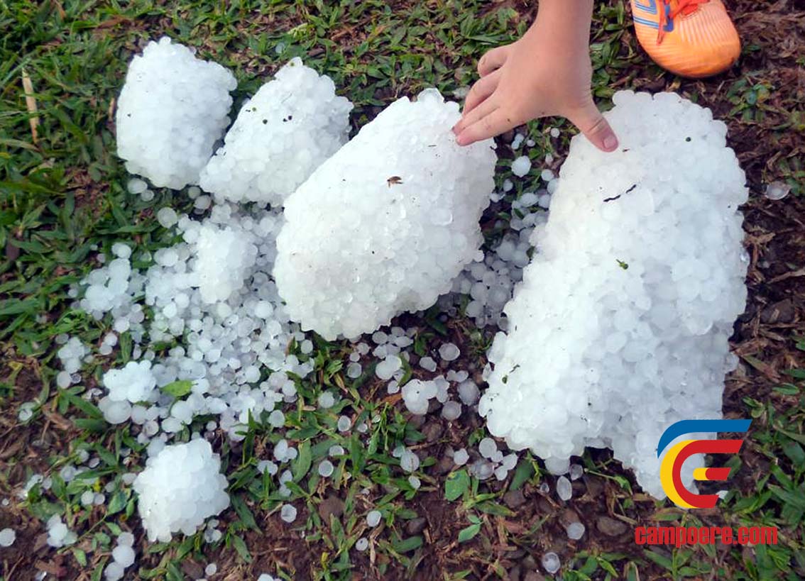 Foto: www.campoere_1.com/Divulgação