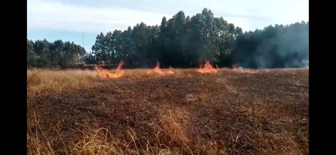 Foto: campoere_1.Com