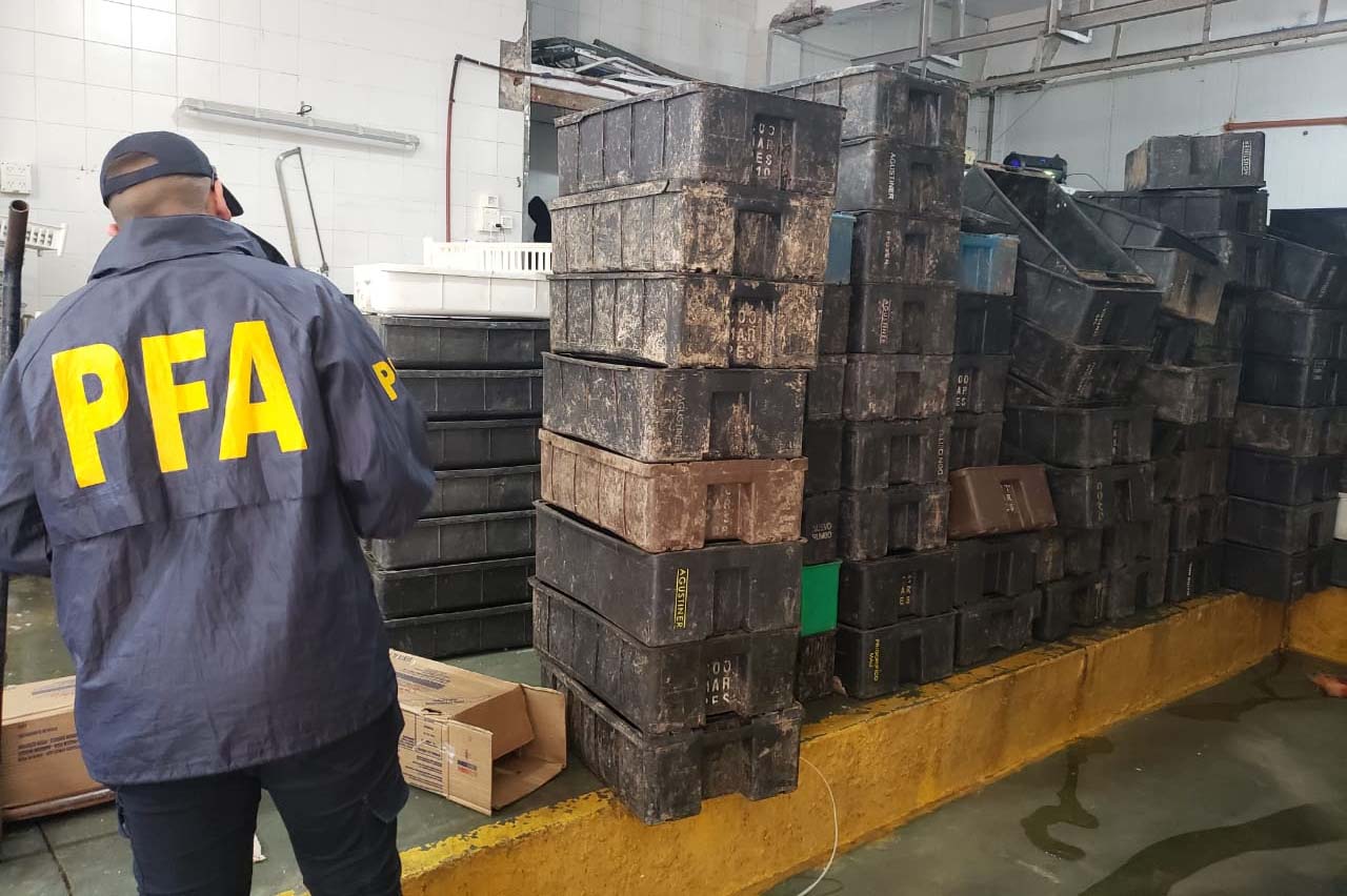 Foto: Divulgação PFA