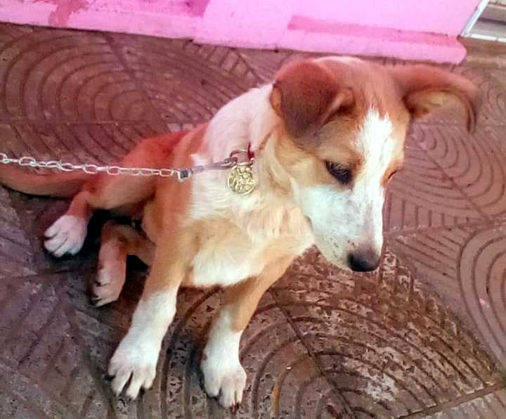 Foto: campoere_1.com