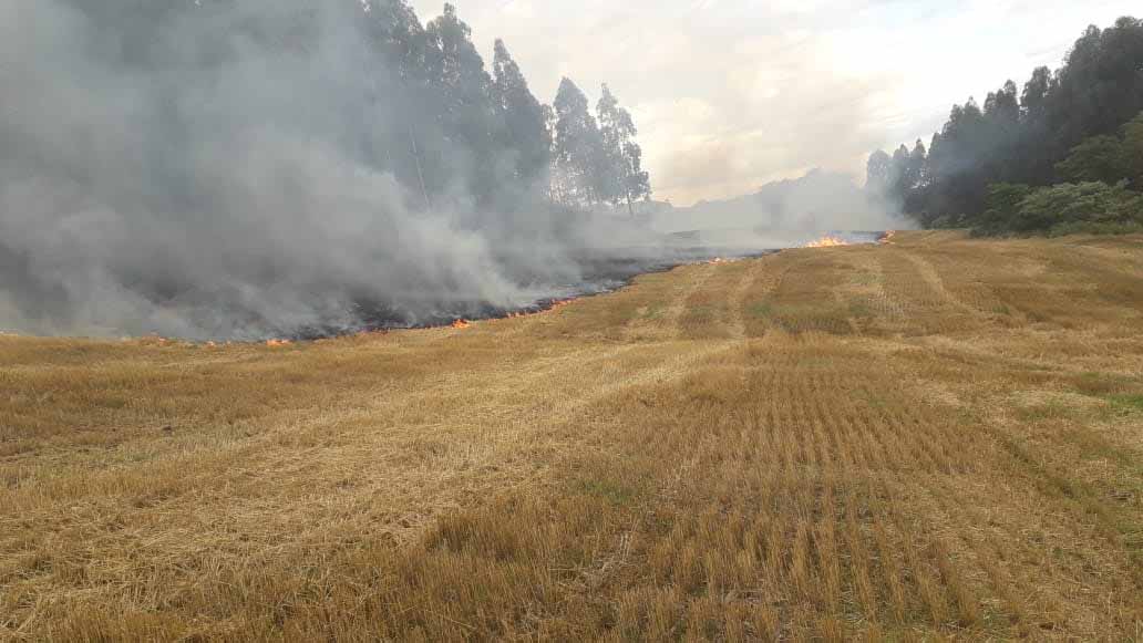 Foto: campoere_1.com