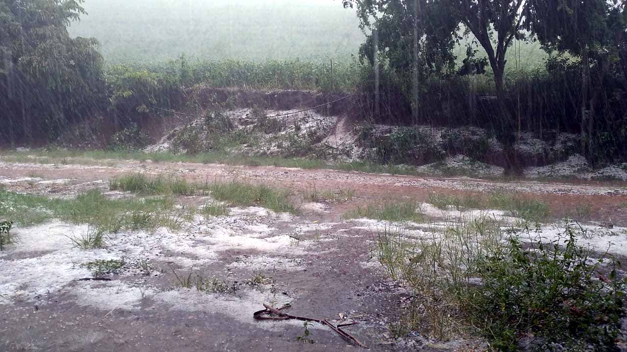 Foto: campoere_1.com