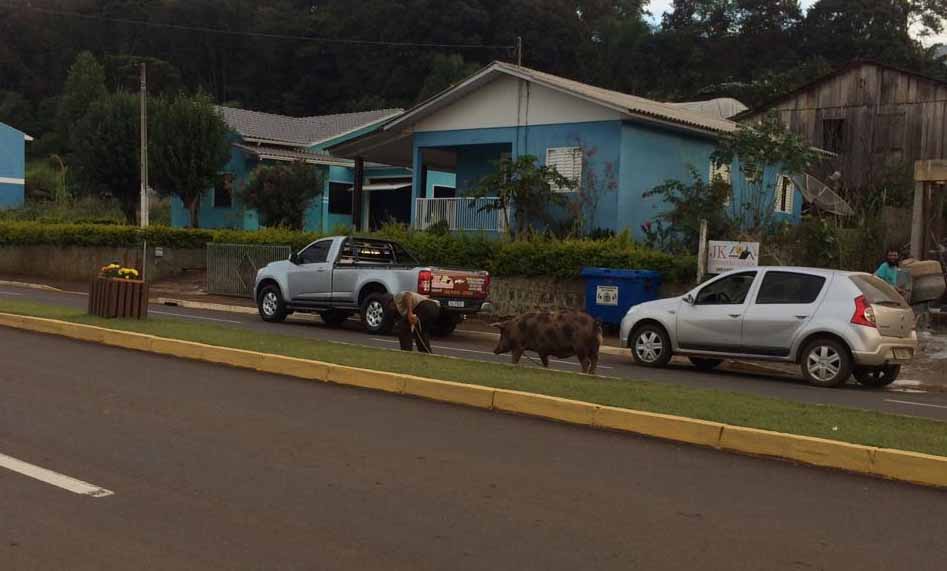 Foto: campoere_1.com