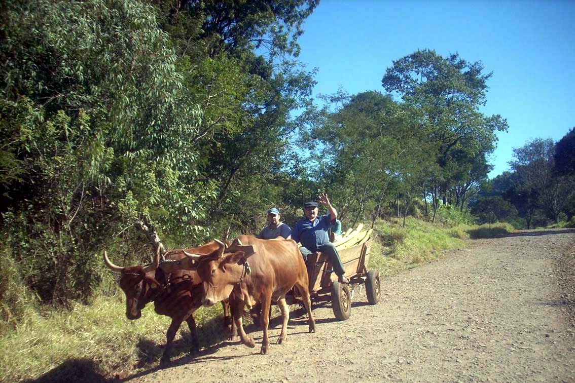Flagrantes da região feito por morador do Paraguai