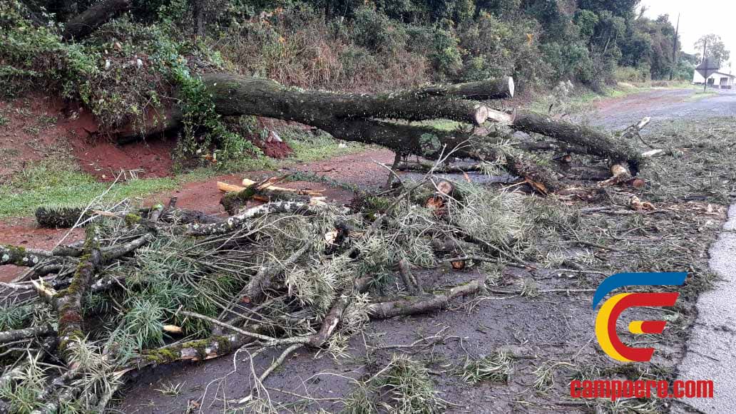 Foto: Jandir Sabedot/www.campoere_1.com