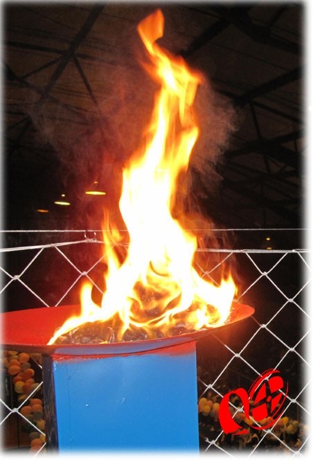 Mais campeonatos em Campo Erê