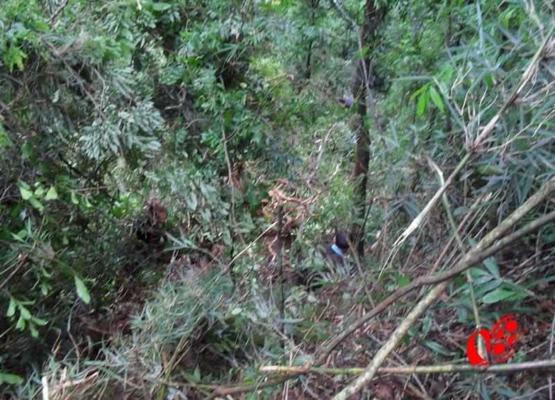 Penhasco com mais de 130 metros de profundidade