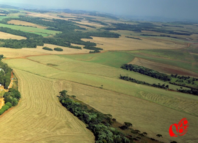 Será a corrida pelas terras? Foto: www.campoere_1.com