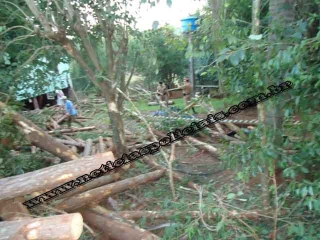 Três pessoas da mesma familia morreram no acidente. Foto: NP