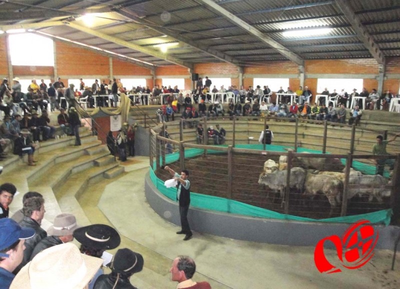 Recinto de leilões Pedro Damo de Campo Erê. Foto: www.campoere_1.com