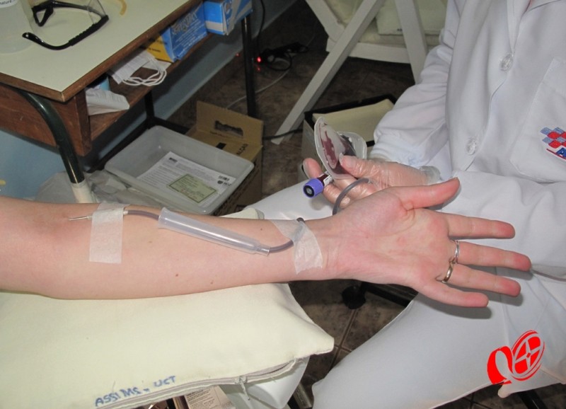 Doação de sangue Foto: www.campoere_1.com