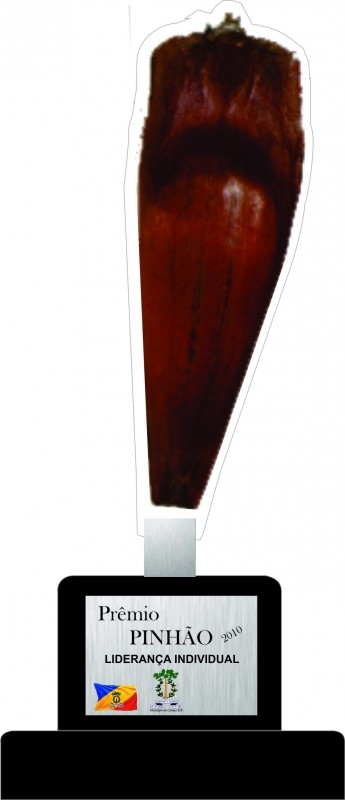 Premio pinhão