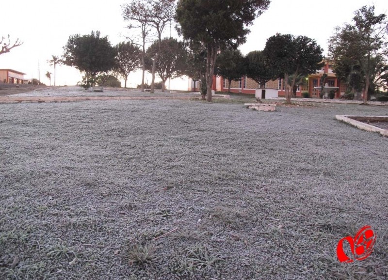 Geada 