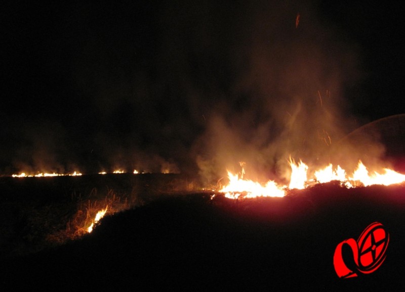 Por 3 vezes foi posto fogo na vegetação do terreno baldio. Foto: www.campoere_1.com