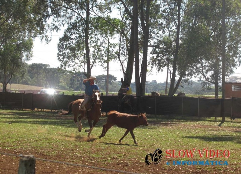 Torneio de laço trio