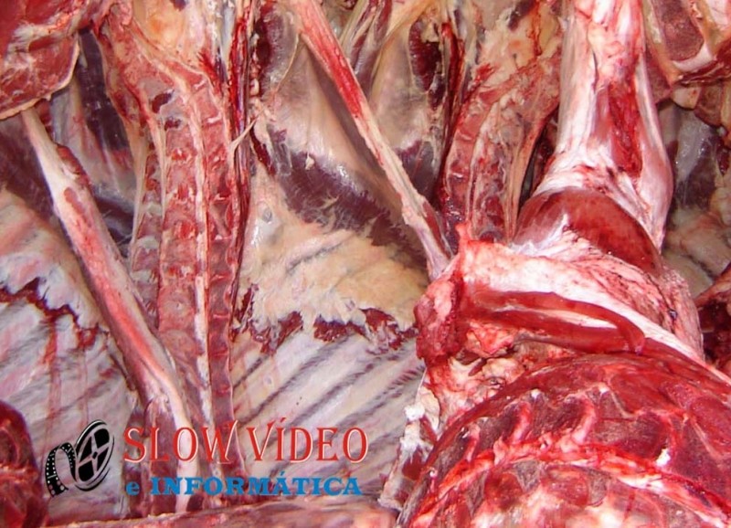 Carne foi apreendida na residência dos acusados. Foto: www.campoere_1.com