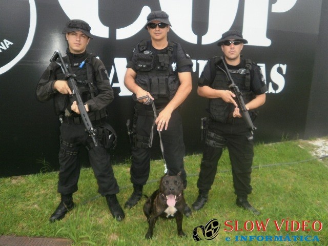 Cão Cyborg treinado para controlar os mais exaltados. Foto: PC