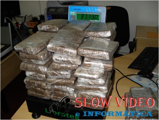 Trafico de maconha. Foto PF