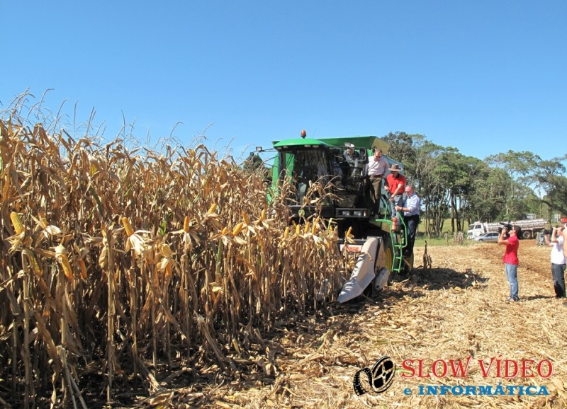 Abertura da safra agricola de SC Foto: www.campoere_1.com
