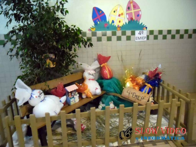 Vitrine organizada pelos alunos. Foto: EEBEM